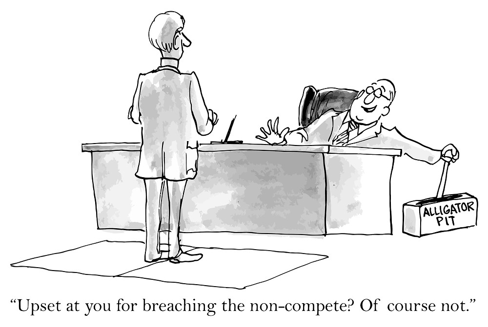 Non-Compete Agreements in New Jersey | Law Offices of Peter J. Lamont