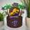 Thumbnail: Jurassic Park Inspired Rebirth Cake Toppers