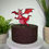 Thumbnail: Shrek Inspired  Donkey Cake Toppers
