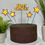 Thumbnail: Futurama Inspired Fry Cake Toppers