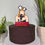 Thumbnail: Bridget Jones Inspired Bunny Cake Toppers