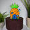 Thumbnail: SpongeBob Inspired Extra Cake Toppers