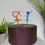 Thumbnail: Looney Tunes Inspired Extra Cake Toppers