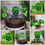 Thumbnail: Harry Potter Inspired Cake Toppers - Slytherin