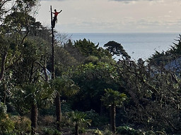 photo 12-01-2025, 21 17 43_edited.jpg