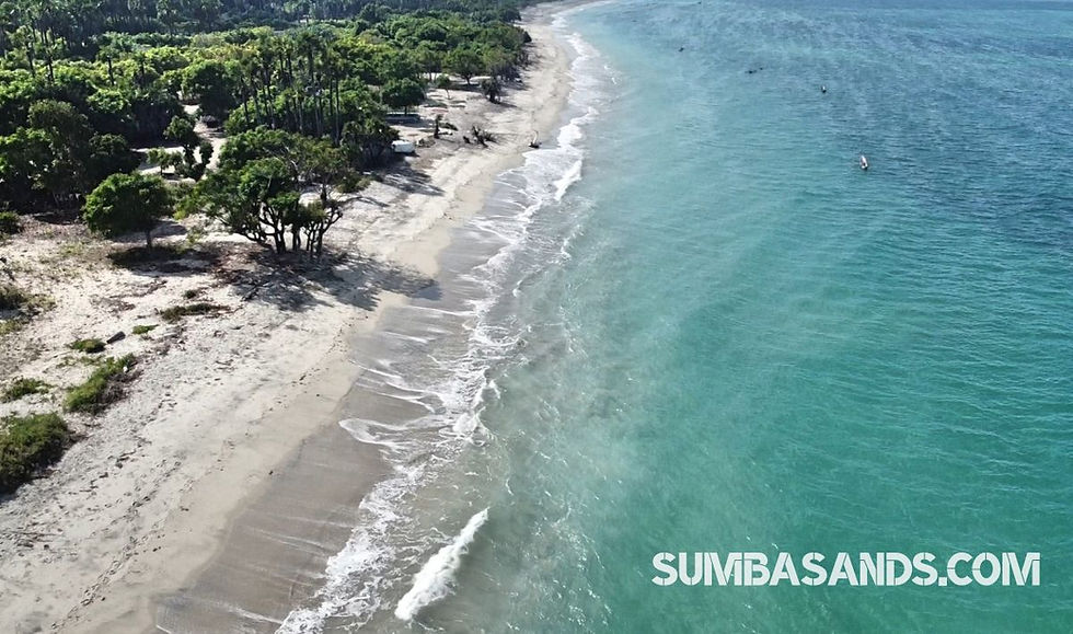 Sumba Surf Land For Sale: Baing