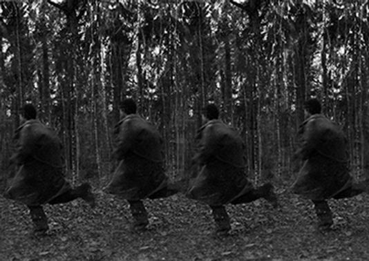 Here be Lions/Doornroosje/Sleeping beauty/Toon Tellegen/Isabel Miquel Arques