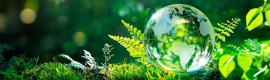 Very High Resolution Globe_edited.jpg