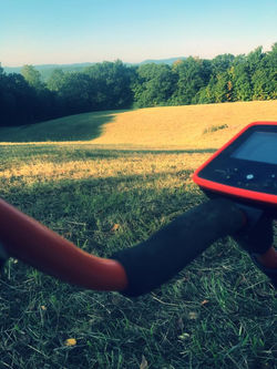 detector whites paraguay