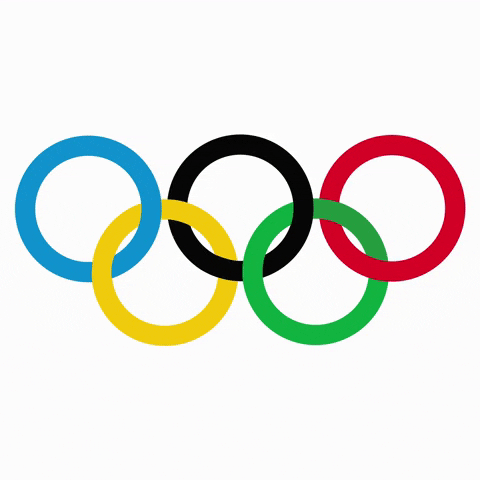 Winter Olympics GIF by sylterinselliebe.gif