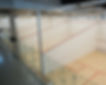 squash-8_edited.jpg