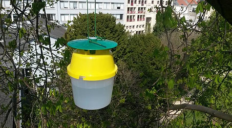 17800161_10155208073778711_3773507417120