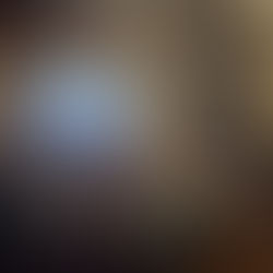 Have a Heart receives GLMS Paragon Award