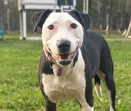 Izzy Pic2_edited.jpg