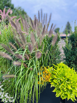 planter