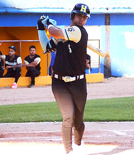 0503264_edited.jpg