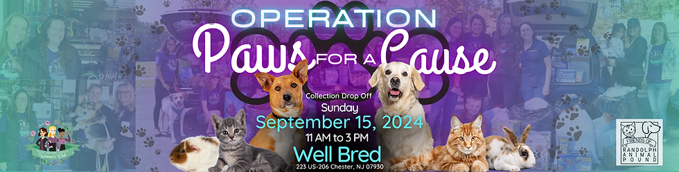 Items needed (Email Header) (Google Classroom Header).png.png