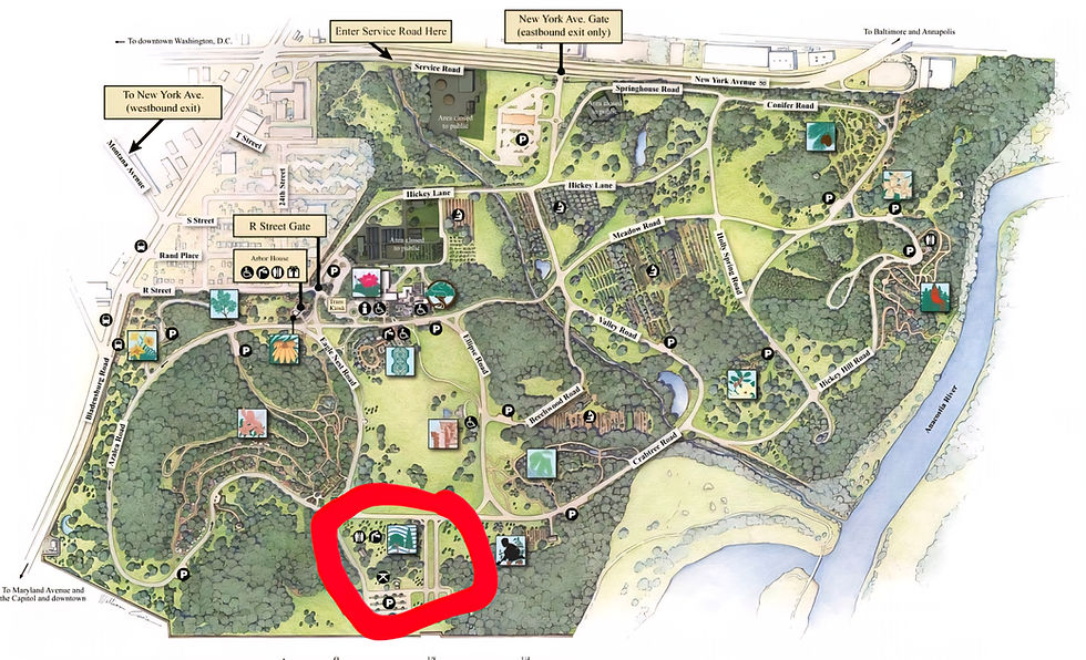 HKS DC × MADabolic H Street: Walk Through the Arboretum