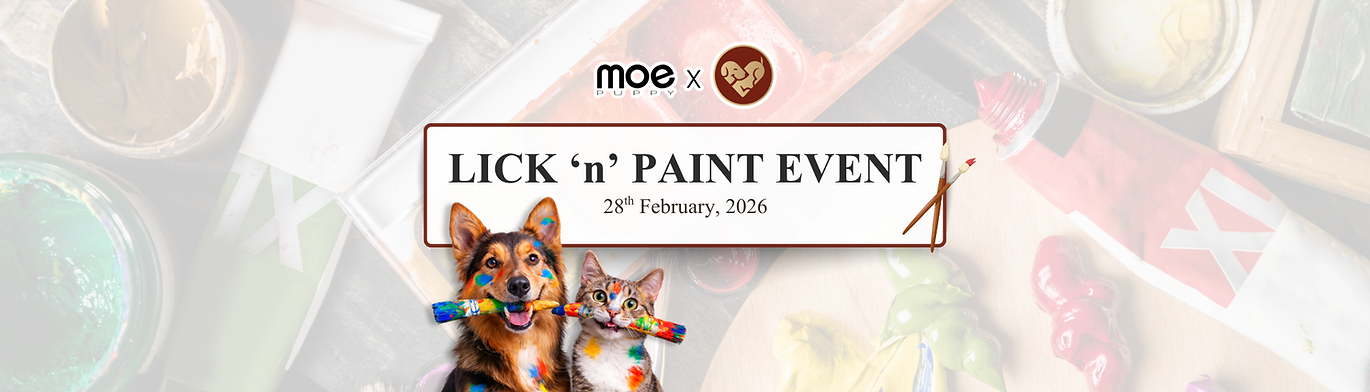 Wix Banner - Paw Petisserie.png