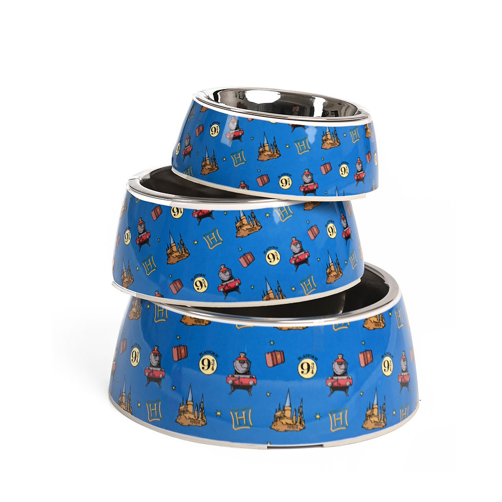 Thumbnail: Welcome to Hogwarts Dog Bowl