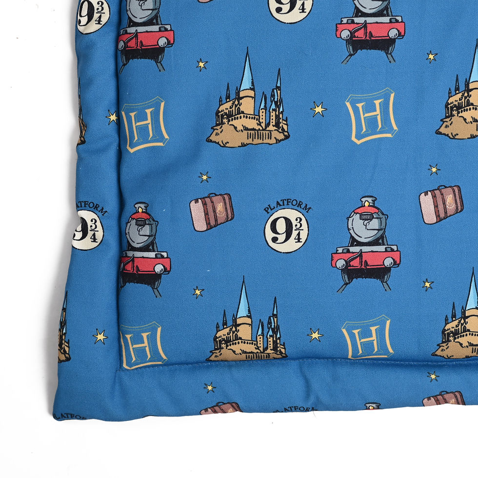 Thumbnail: Welcome to Hogwarts Dog Mat