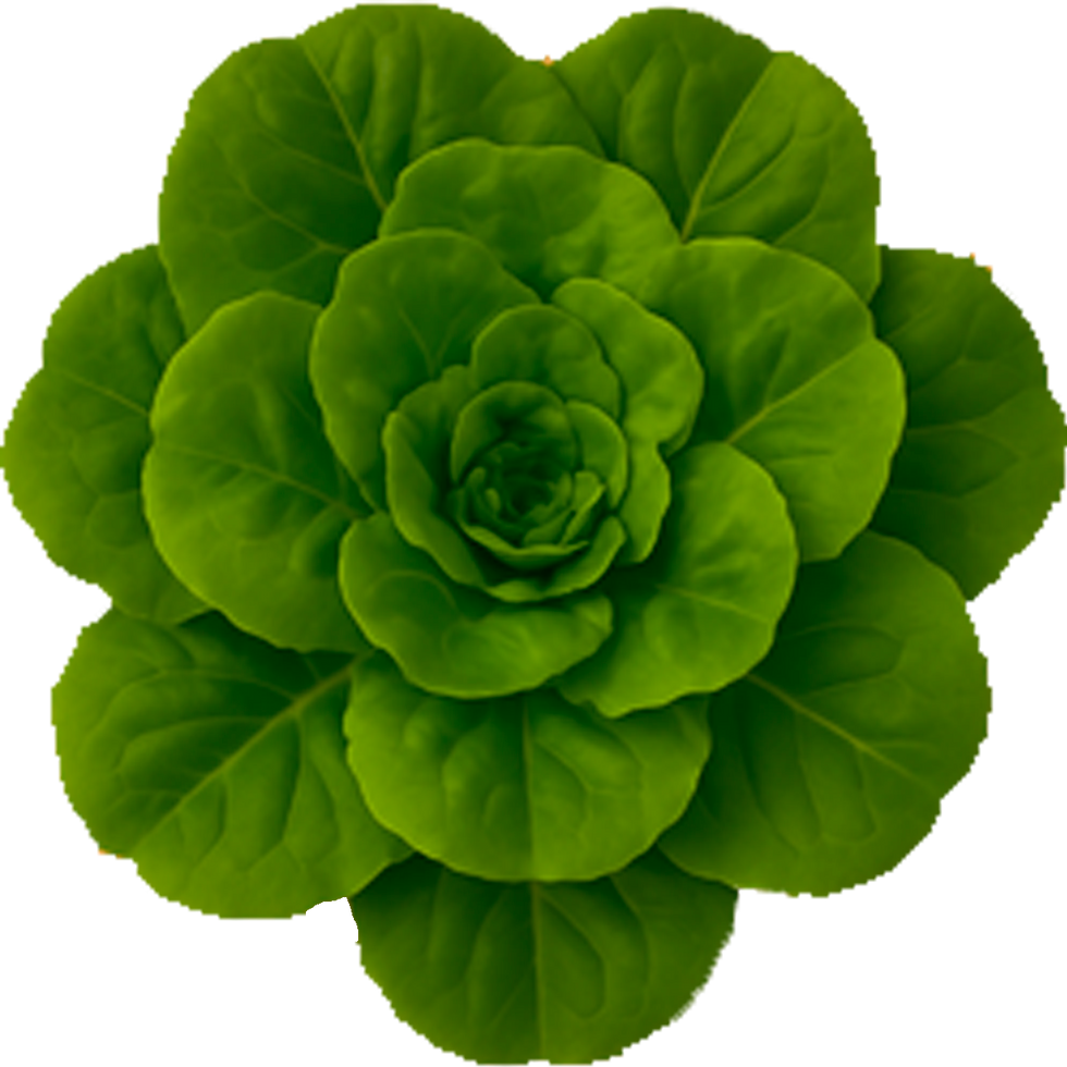 Lfrancesa.png
