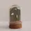 Thumbnail: Silk Purse Sow's Ear Gold Vermeil Fern Stud Earrings