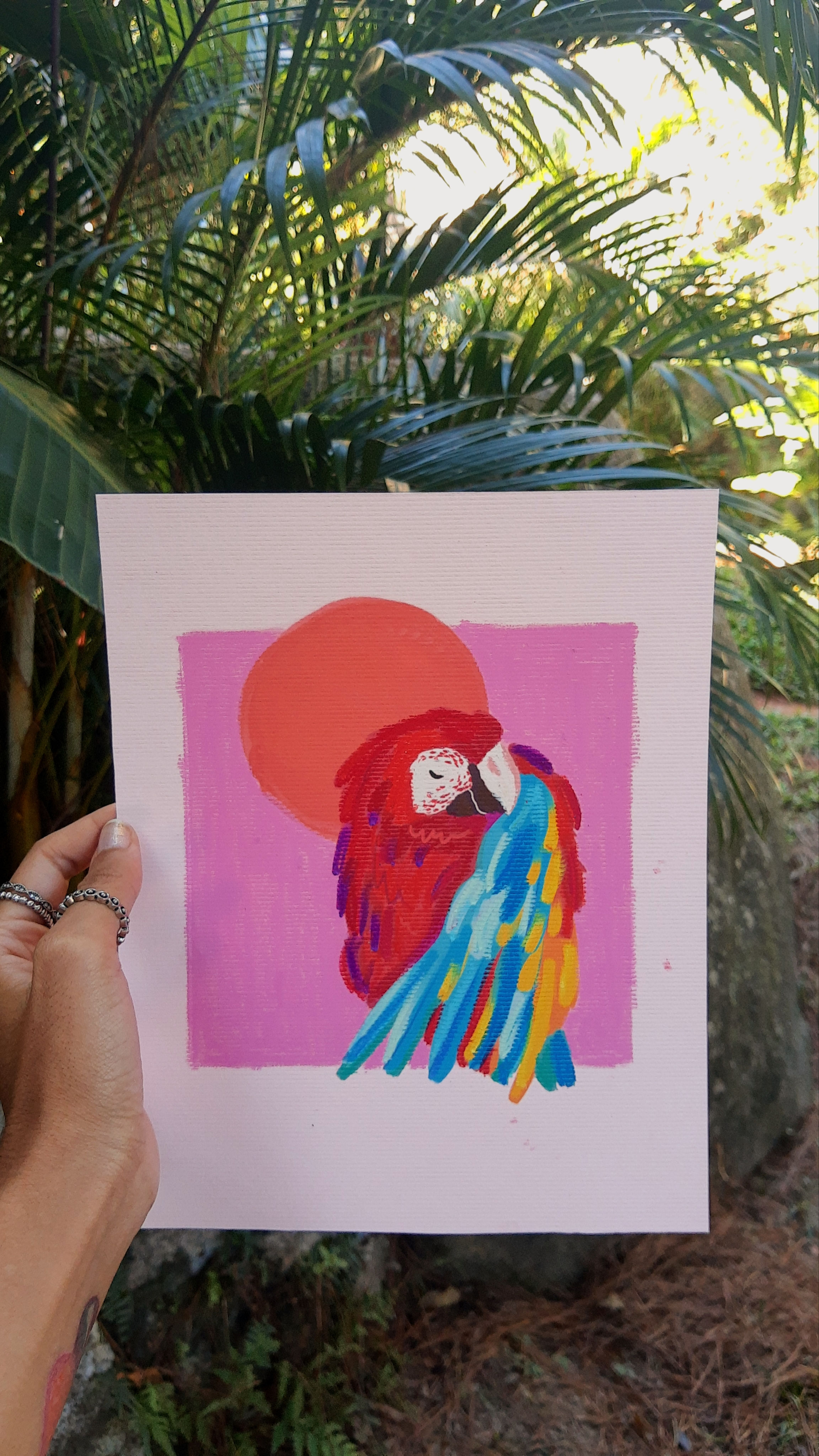 "Arara Vermelha" Vergê salmão