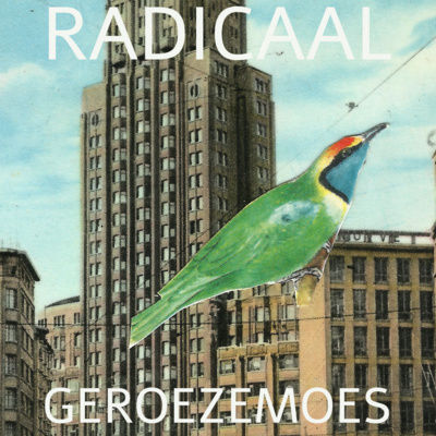 collage of a green bird in front of tall buildings with white text that reads "RADICAAL GEROEZEMOES"