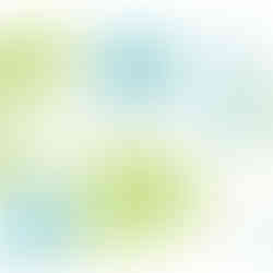 FLORIDA MIXED CARD PACK set. Image of castle, palm trees, patterns of stars, and more