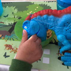 Dino Ate my Breakfast