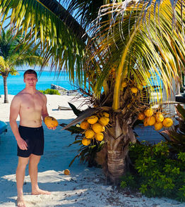Coconuts on the beach