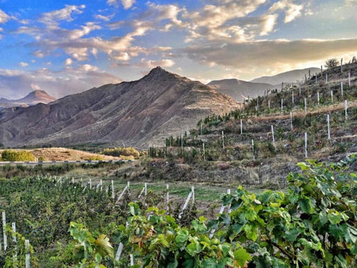 Armenia - A Yerevan si terrà il concorso mondiale sui vini