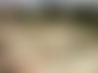 Egitto - Ad Alessandria torna la Biennale