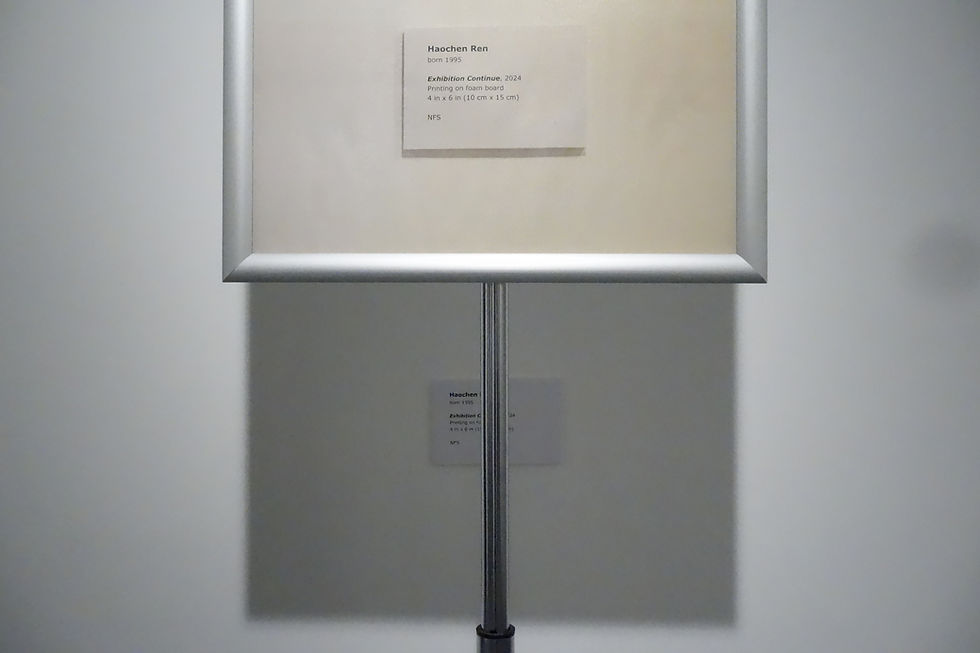 'Exhibition Continues' 2024
