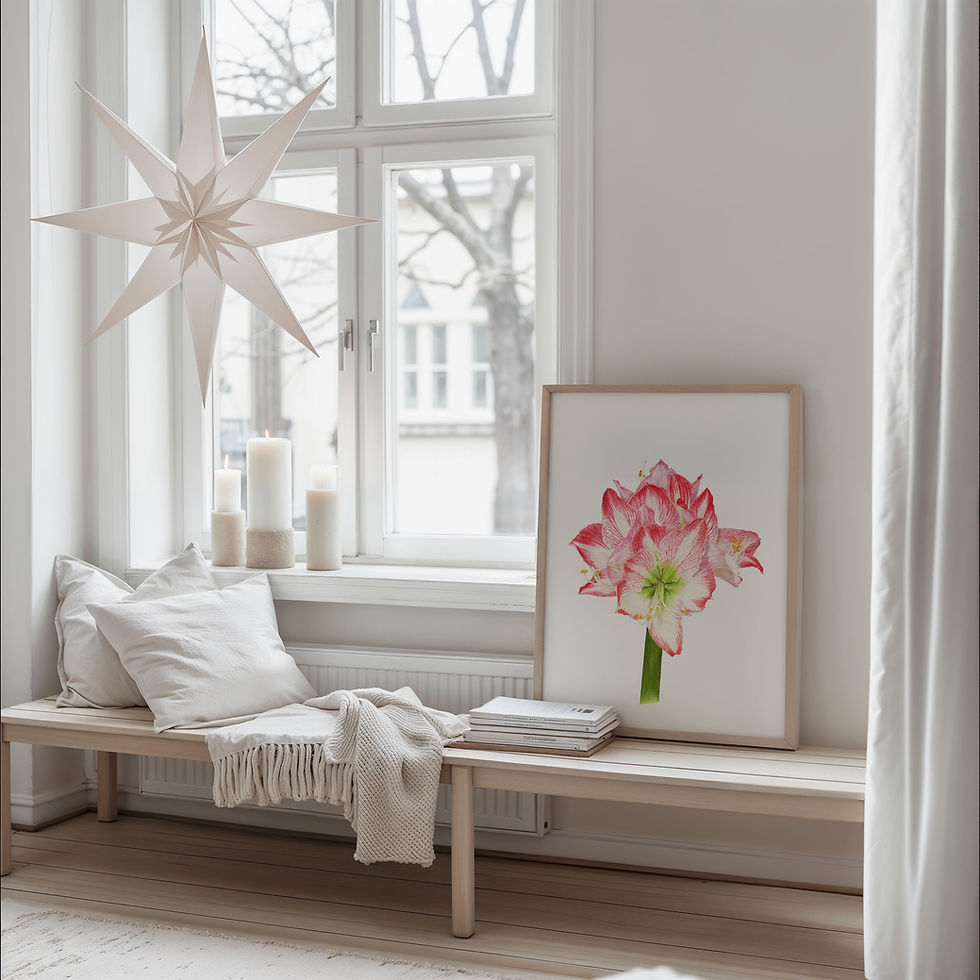 Amaryllis Glee fine art watercolor print framed in natural wood frame in modern white setting