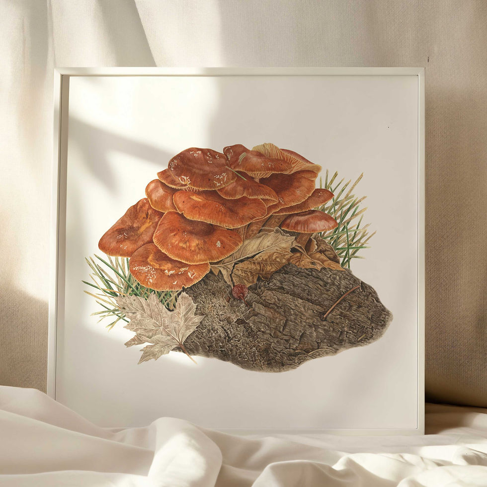 Thumbnail: Sheathed Woodtuft Mushroom Watercolor Print