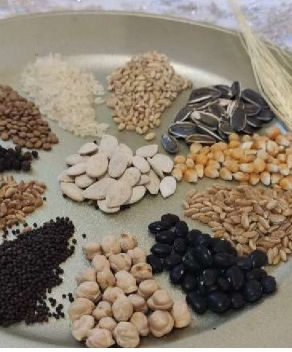 Seedbed Ritual (Divine Providence)