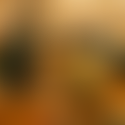 Reflecting upon the path