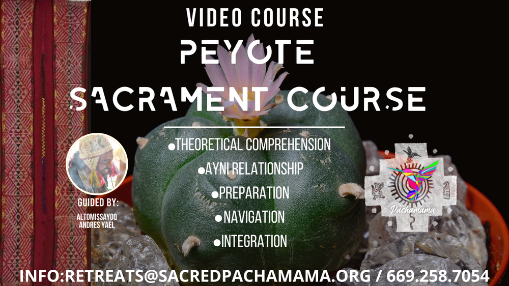 PEYOTE COURSE | Sacred Pachamama