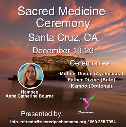 Dec 19-20 Santa Cruz Catherine CUADRO.png