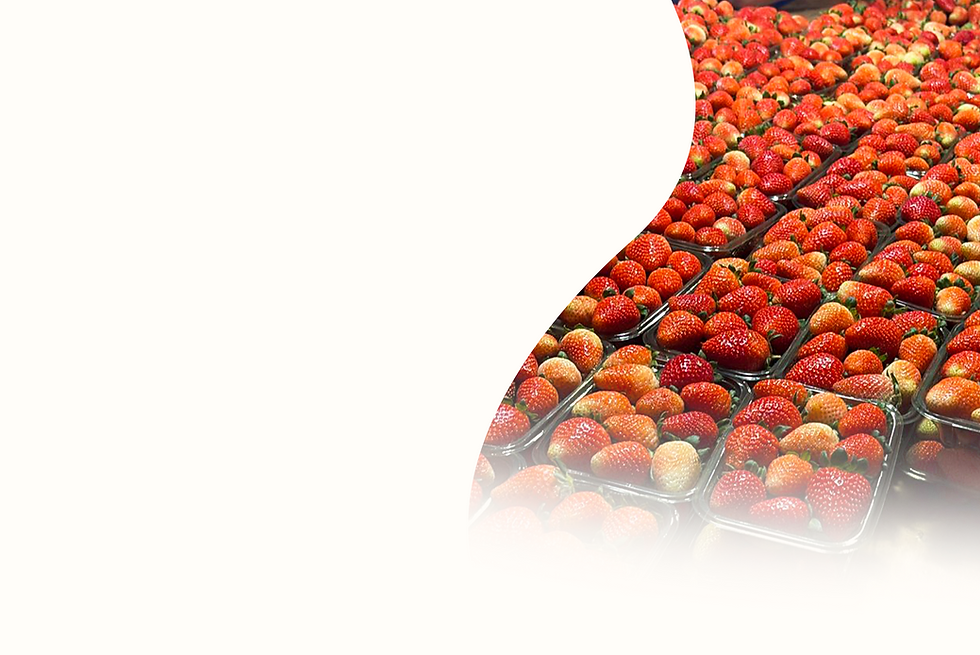 Banner F.png