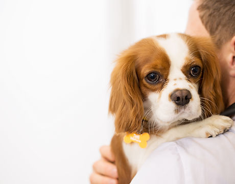 shutterstock_1021918549.jpg