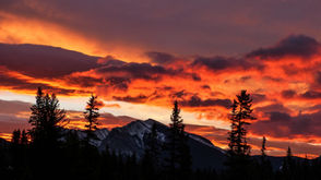 ICYMI Friday 8.14.20