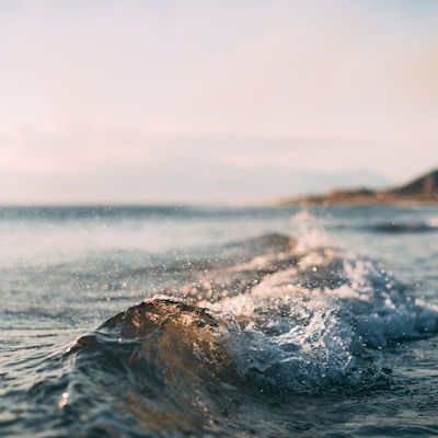 Blooming Ocean - Product View