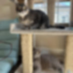 Smokey & Deevo