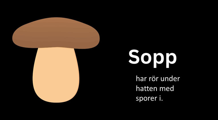 Bild5.JPG