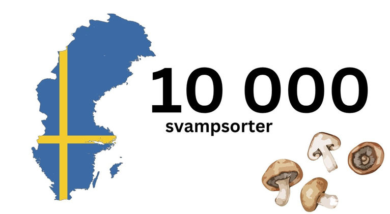 Bild3.JPG