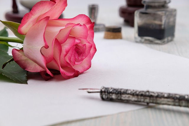 rose, feuille stylo plume