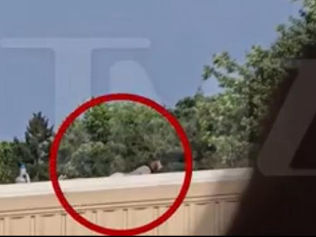 Atirador que tentou assassinar Donald Trump é identificado pelo FBI